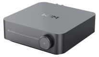 WiiM AMP (Grey)