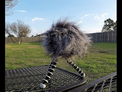 Amazon.com: Zoom Universal Hairy Windscreen : Musical