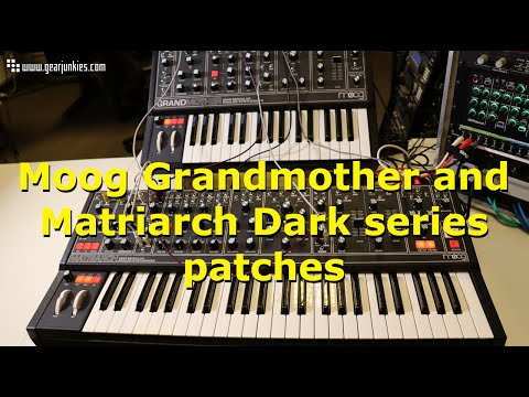 Moog Grandmother (Dark) - Soundium.net