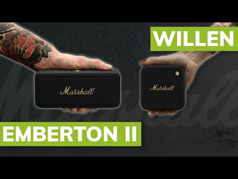 Marshall Willen (Black & Brass) 